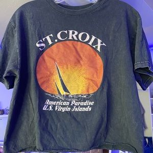 Brandy Melville St.Croix crop top